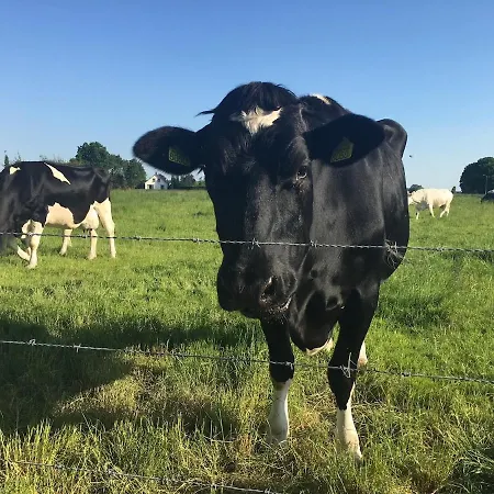 Sunny On Ground Floor With Small Terrace Appartement